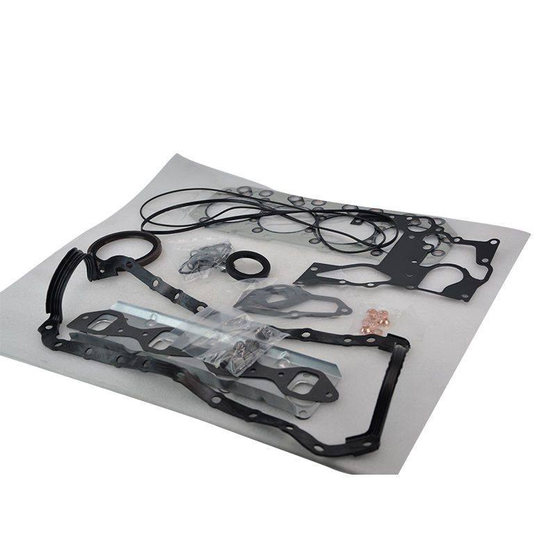 gasket overhaul kit BJ493-001